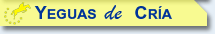 Yeguas de Cr&iacute;a