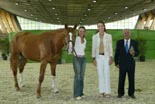 Bost�n de Arag�n en un concurso morfol�gico de ANCADES.