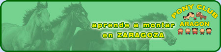Pony Club Aragon
