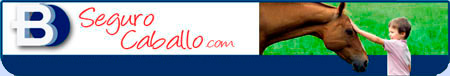Seguro Caballo