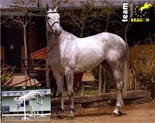 BEBETTO de Aragon