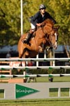 BOSTON De Arag�n: ELVIS AMOR y RUMANA por PRINCIPE DUERO 