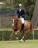 BOSTON De Arag�n: ELVIS AMOR y RUMANA por PRINCIPE DUERO 