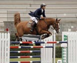 BOSTON De Arag�n: ELVIS AMOR y RUMANA por PRINCIPE DUERO 