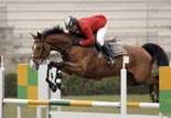 CELINE-YAR: ABSOLUUT Z  y NINFA DE AMAN por TUCUMAN 