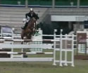 BOSTON-ARAGON