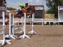 Dancestar-Yar